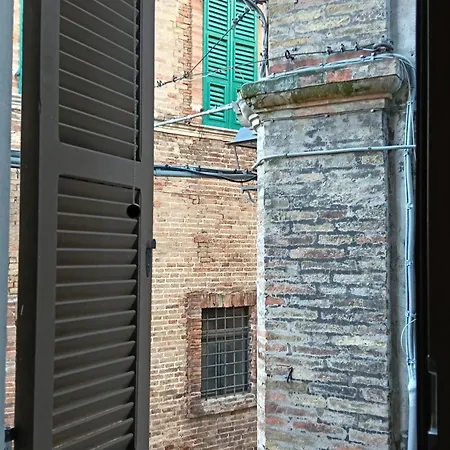 Ladolcevita *